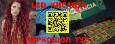 ПСИЛОЦИБИНОВЫЕ ГРИБЫ Камышлов