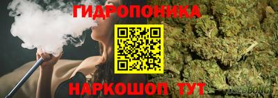 дурь Кандалакша