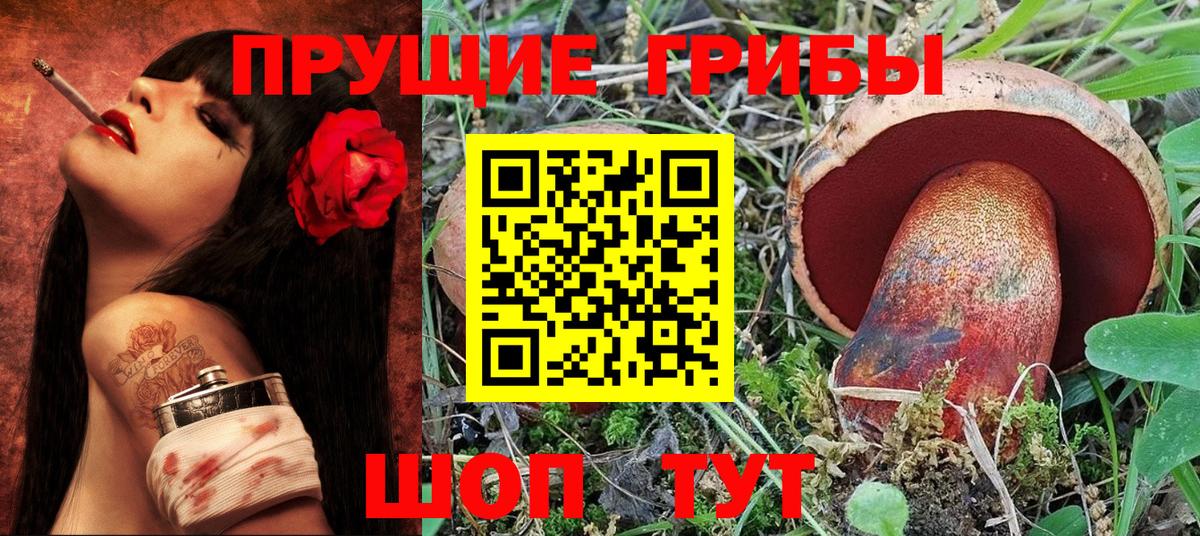 Псилоцибиновые грибы Psilocybe  Вход с VPN  Краснодар 
