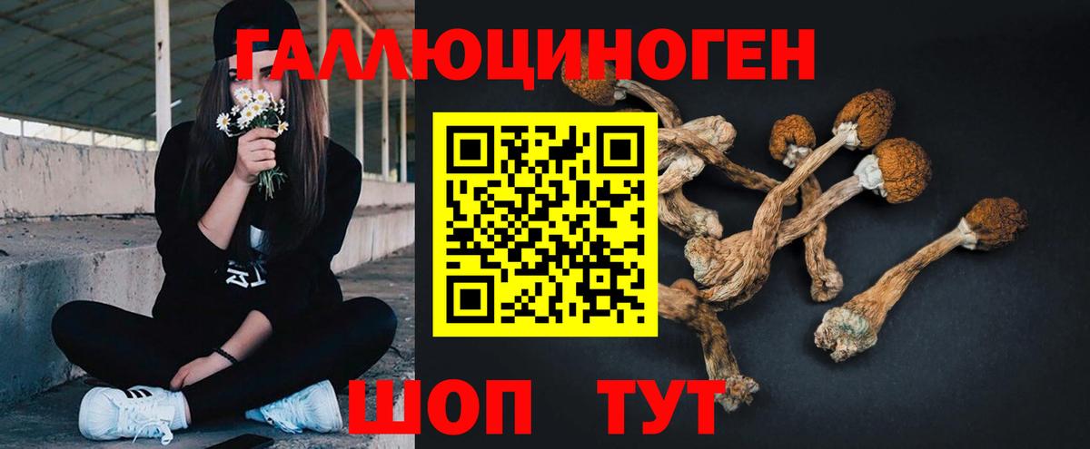 A PVP СК   МЕФ кристаллы  ЭКСТАЗИ  Канабис  Кокаин  ТГК  Канабис  Гашиш  Вход с VPN  Краснодар  Магазин наркотиков 